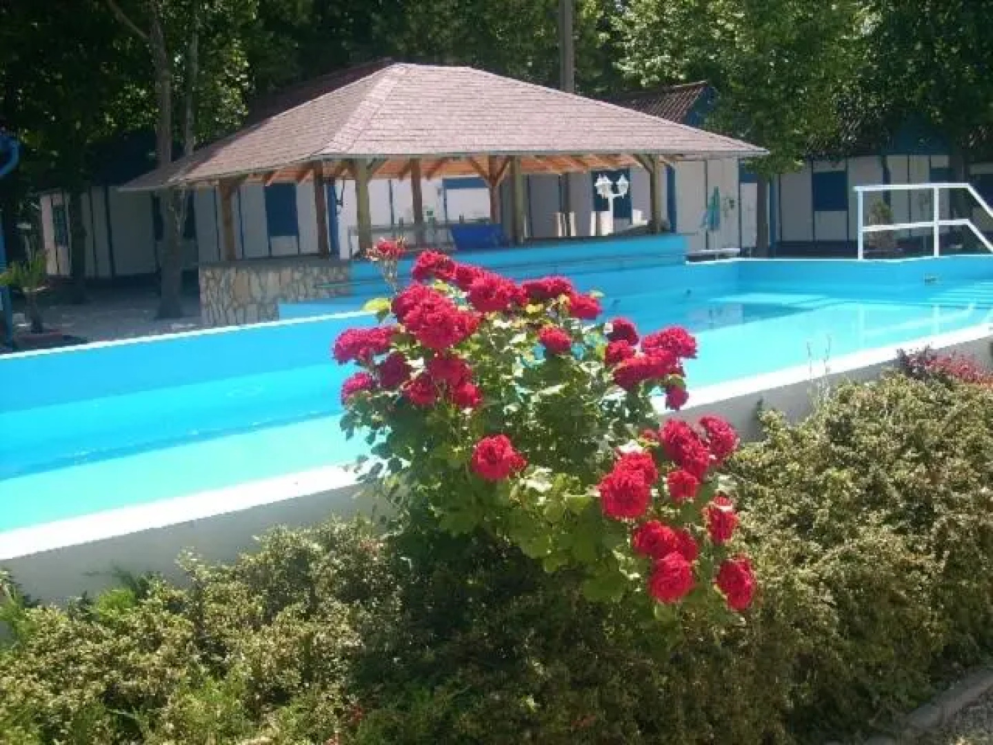 Tulipan Bungalow Camping Resort