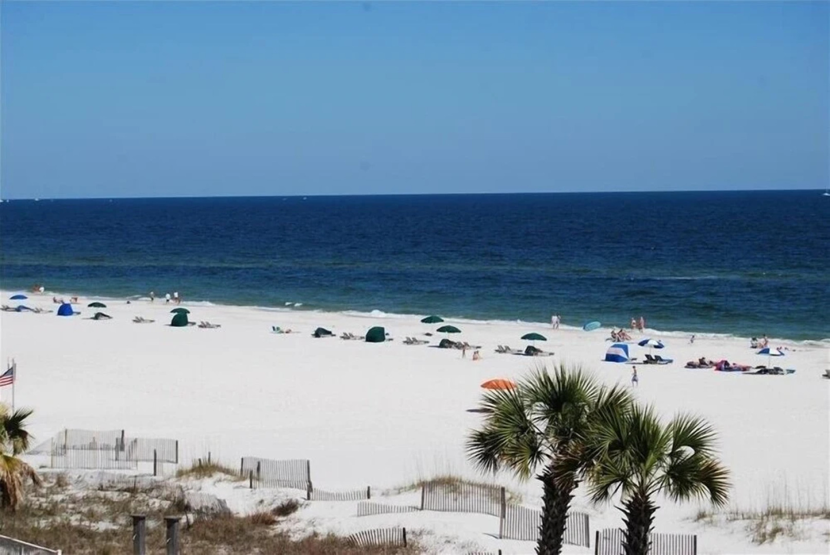 ShoalWater 1103 by RedAwning