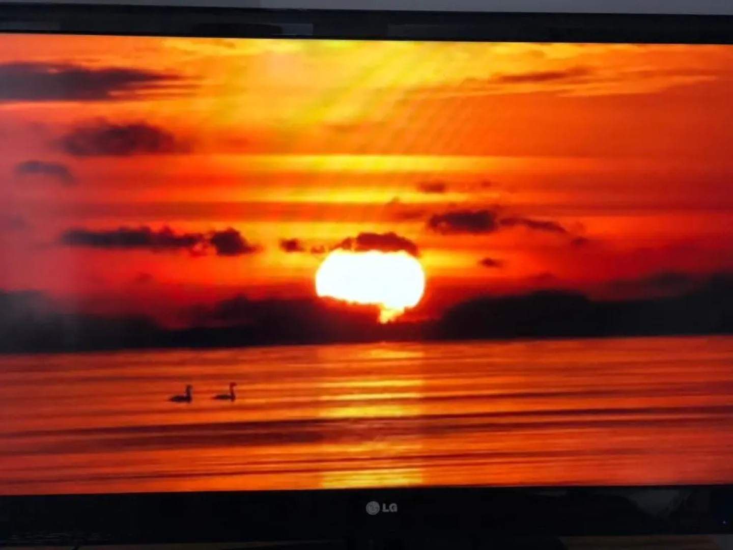 Old Cape on the Marina - De Pond : Unit 6