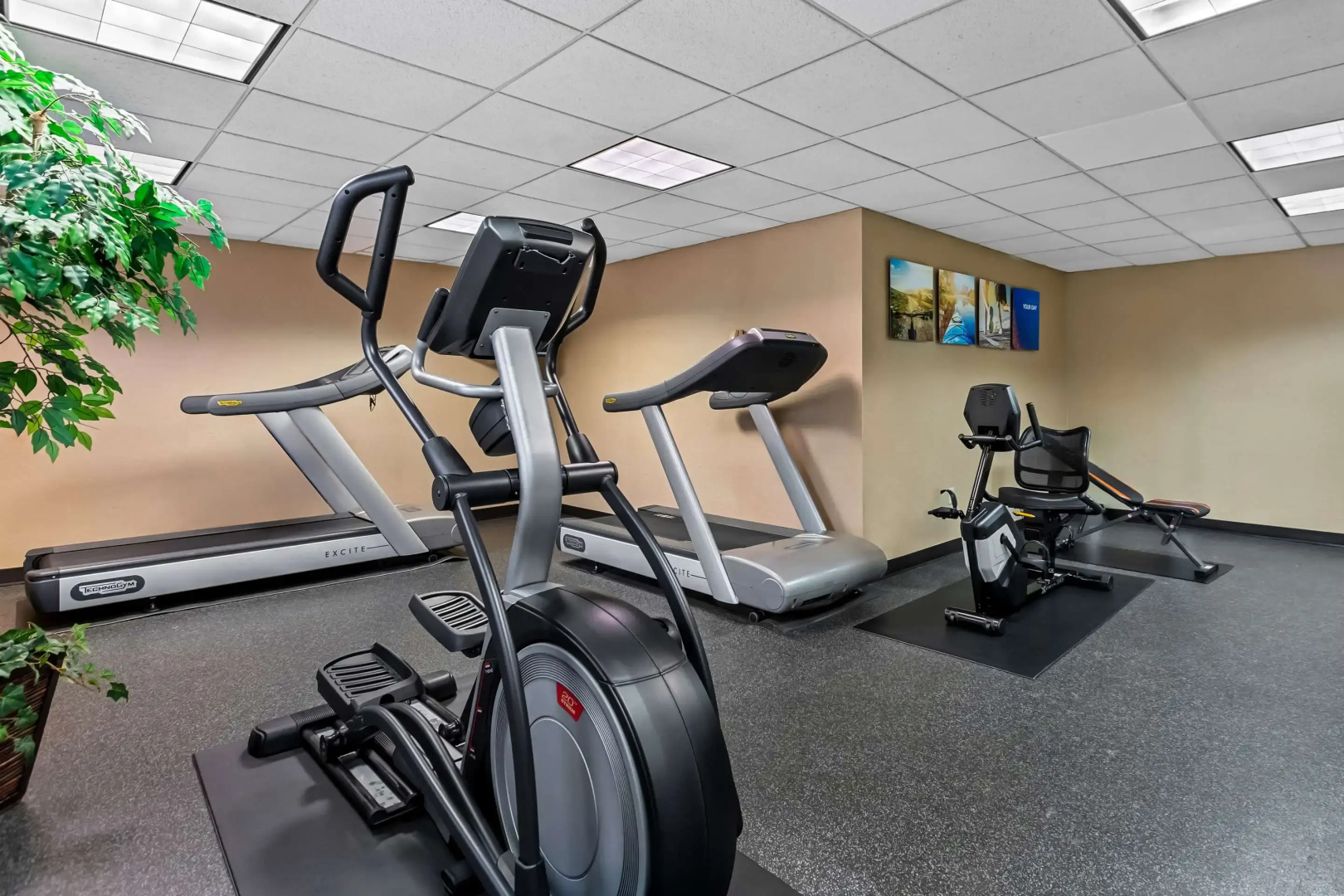 Comfort Inn & Suites Somerset - New Brunswick