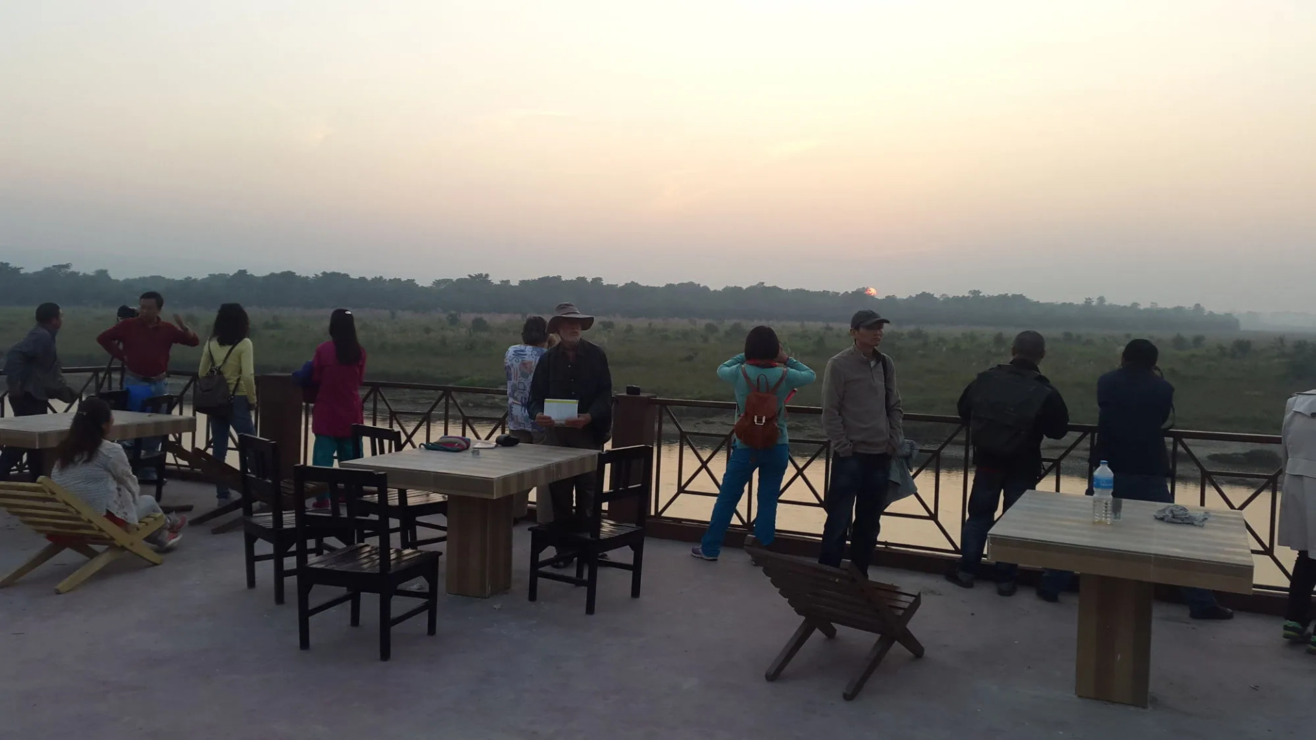 Jungle Wildlife Camp