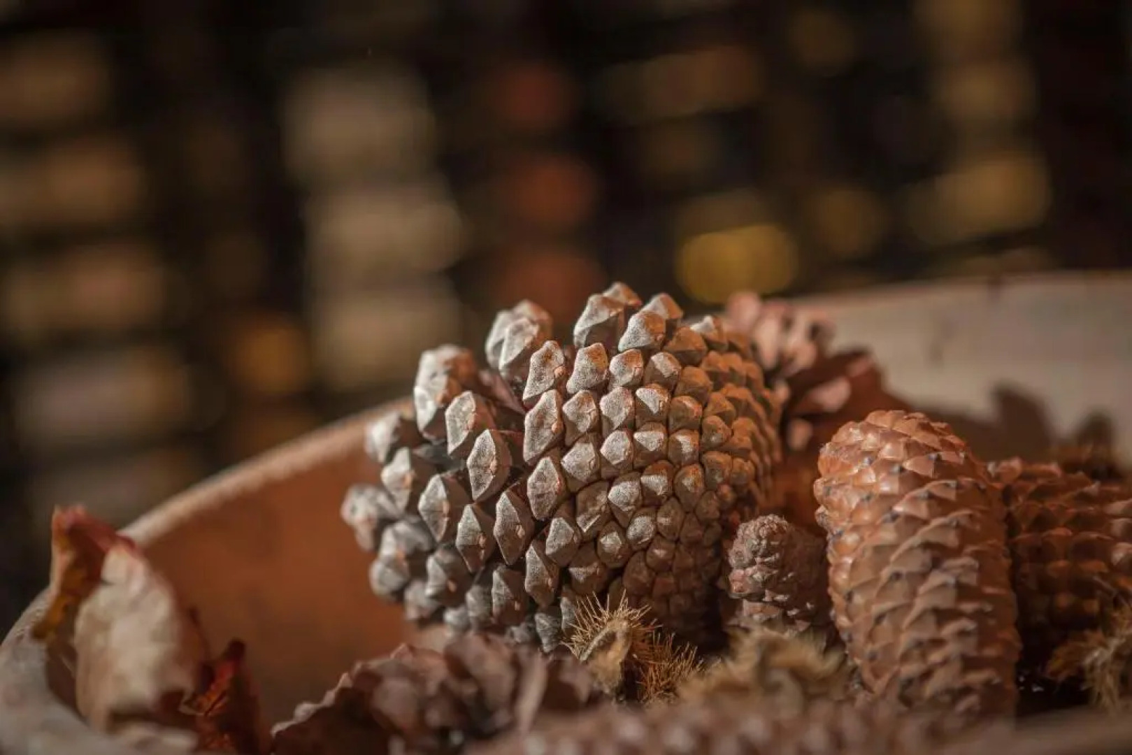 Three Little Pigs Luxury Cottage