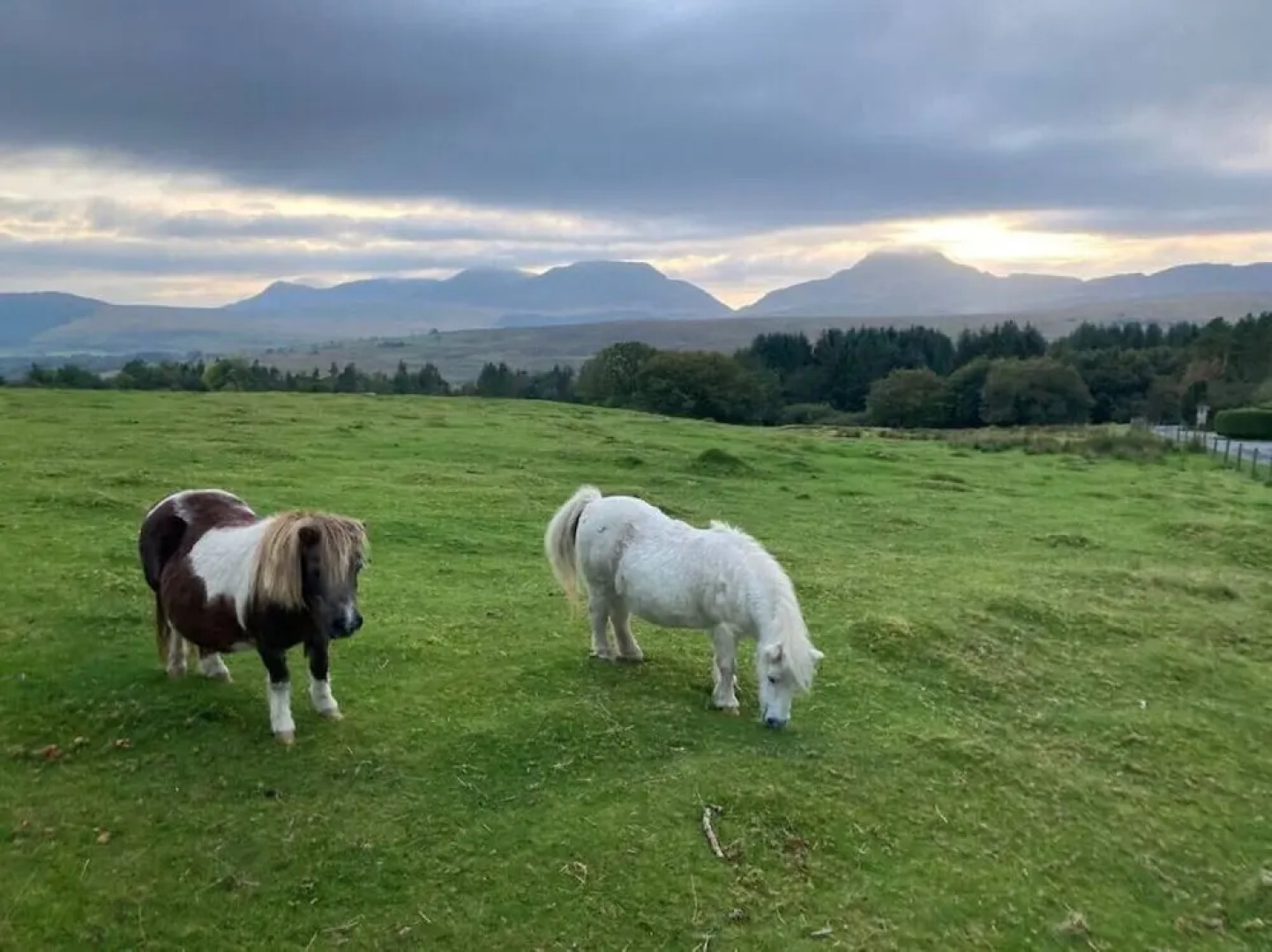 Brenin 3 Bedroom rural wood Lodge