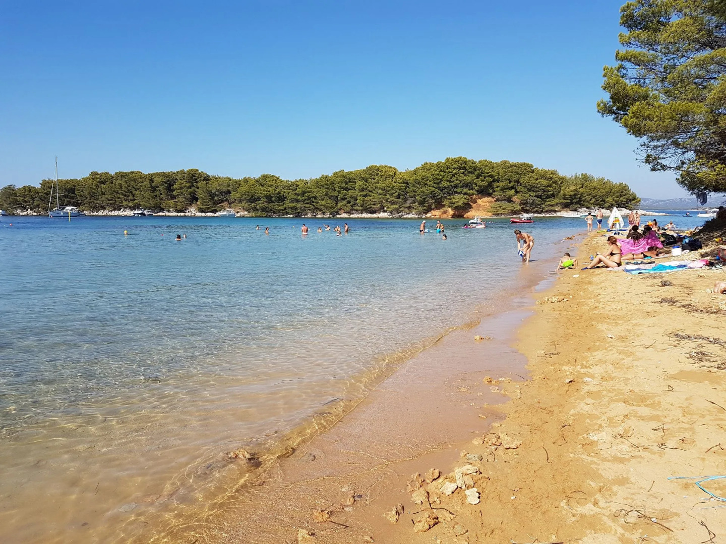 Apartment Ivo - relaxing & comfortable: A1 Vrgada (Island Vrgada), Riviera Biograd