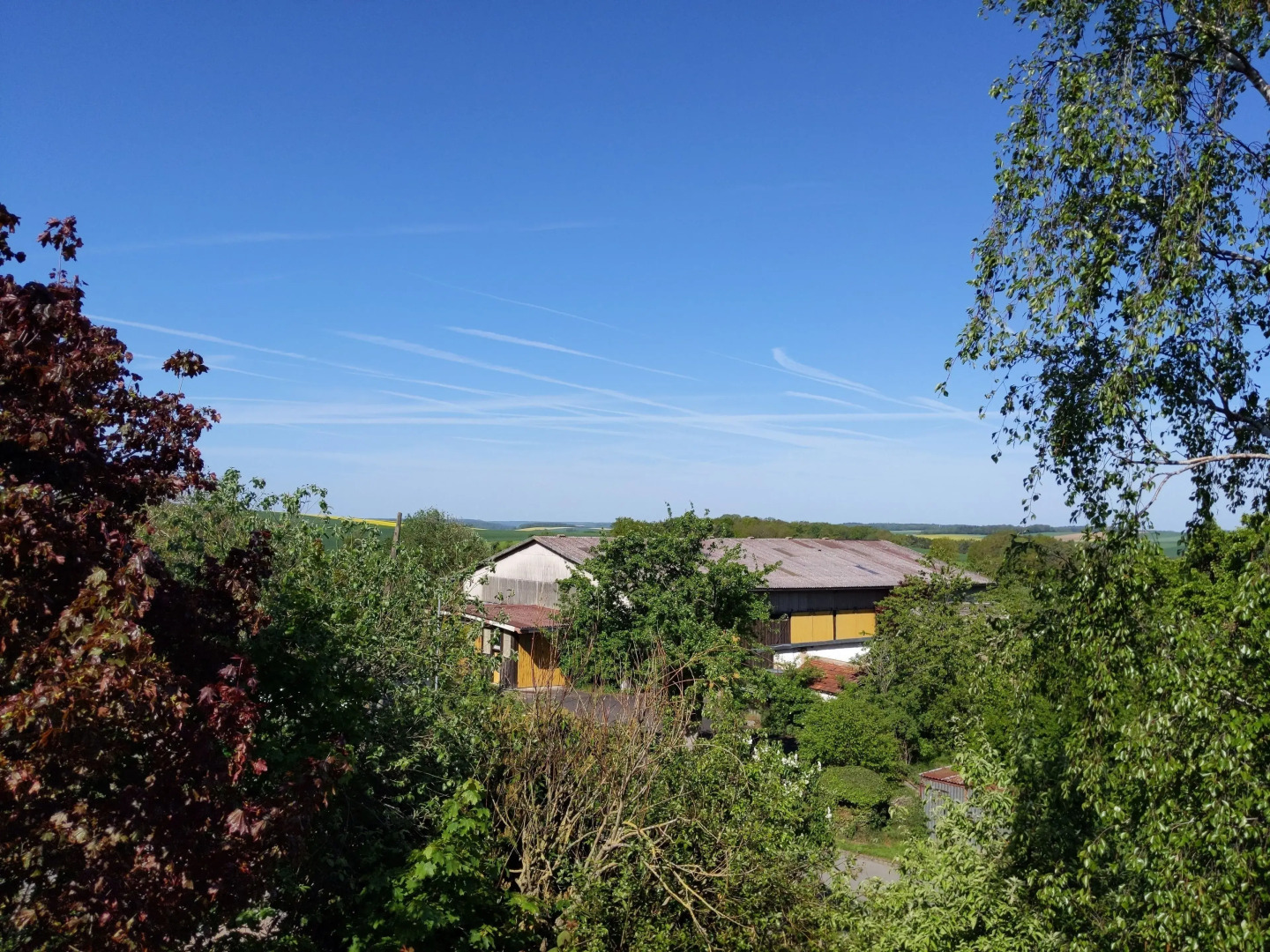 Apartment Urlaubsreiterhof Trunk