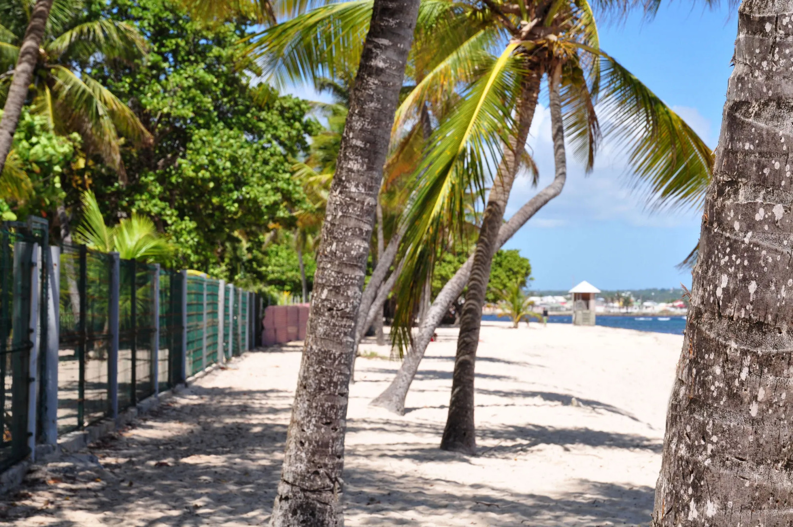 Résidence Tropicale