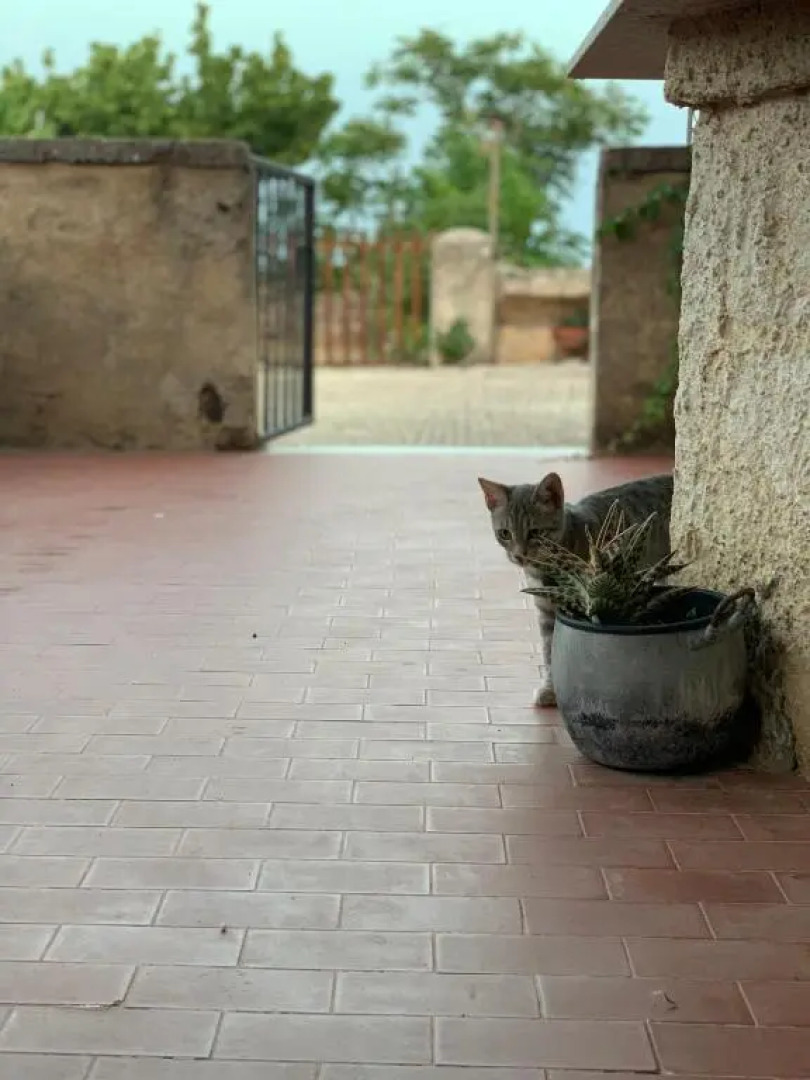 Affittacamere Ternulla