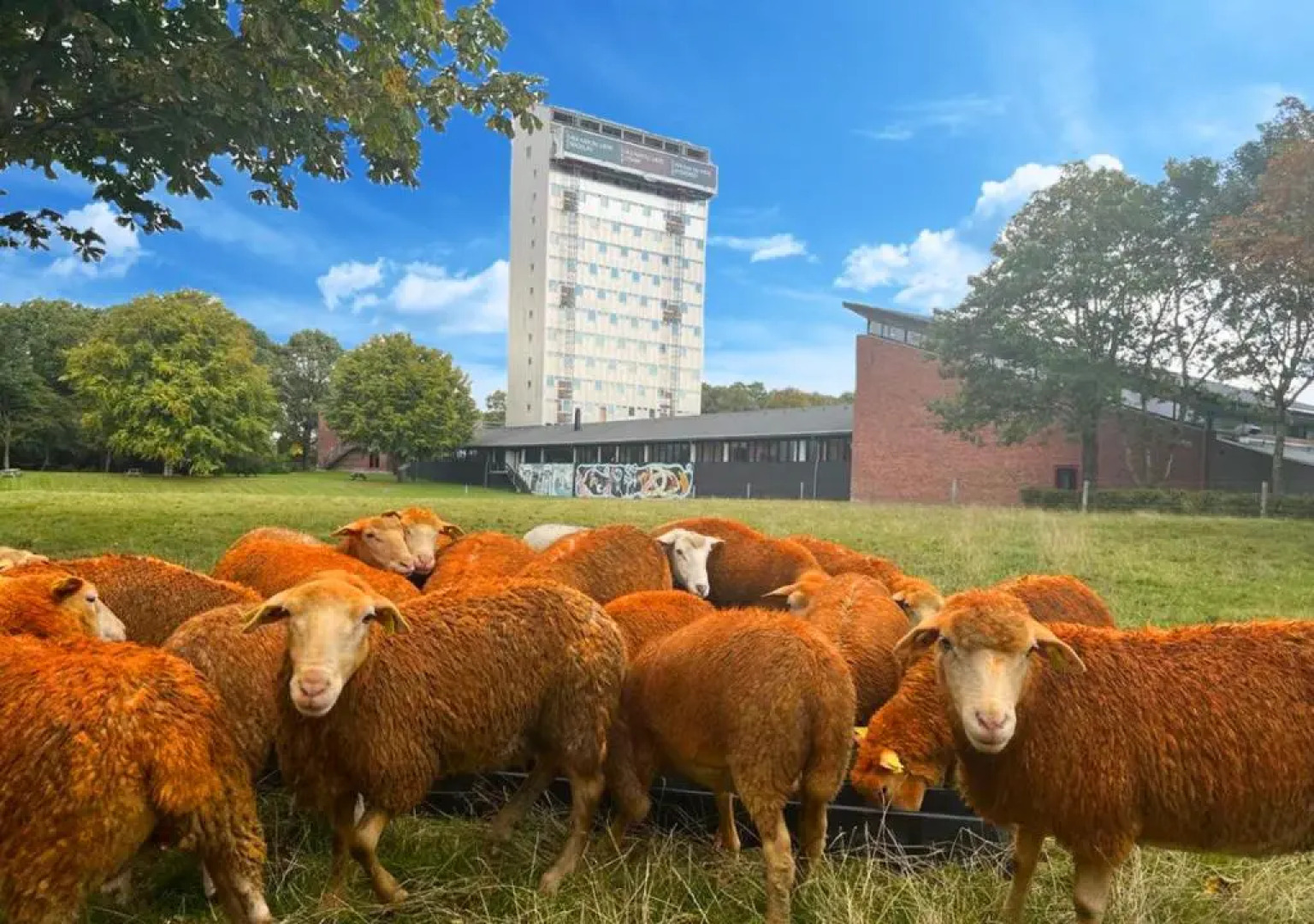 Højhuset Kulturhotel