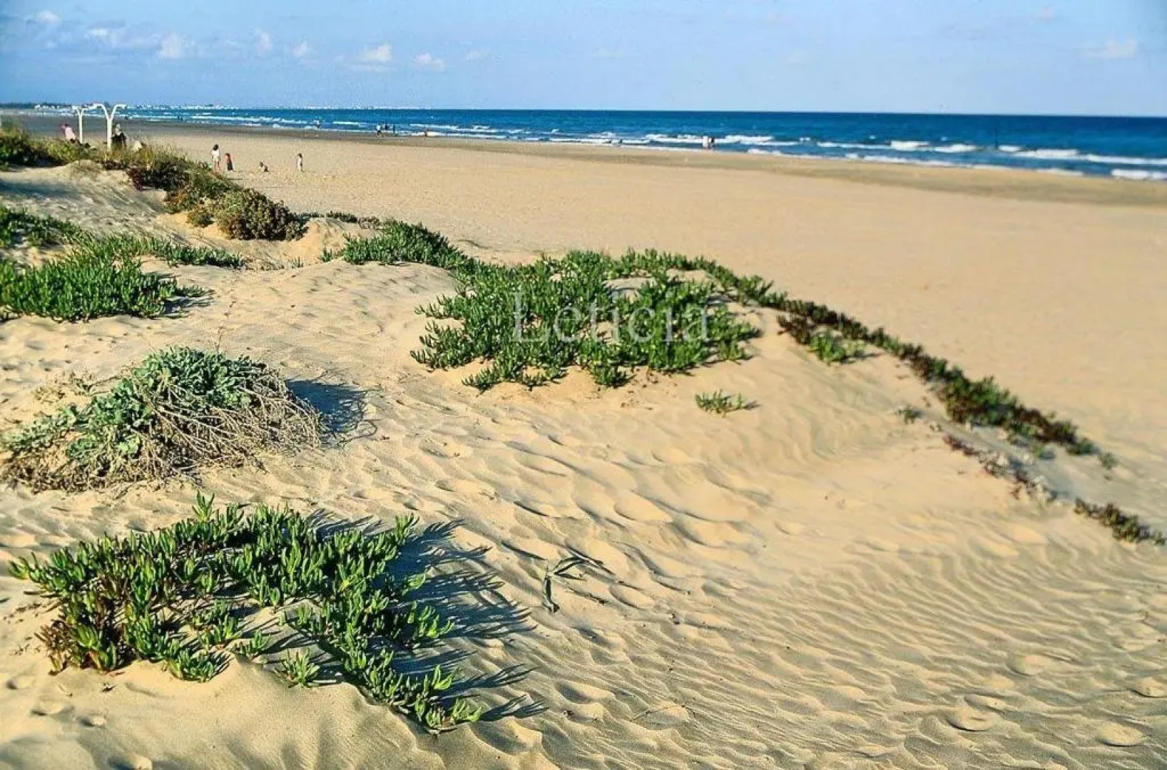 Townhouse-Air-conditioned-100-mt-from-the-sea