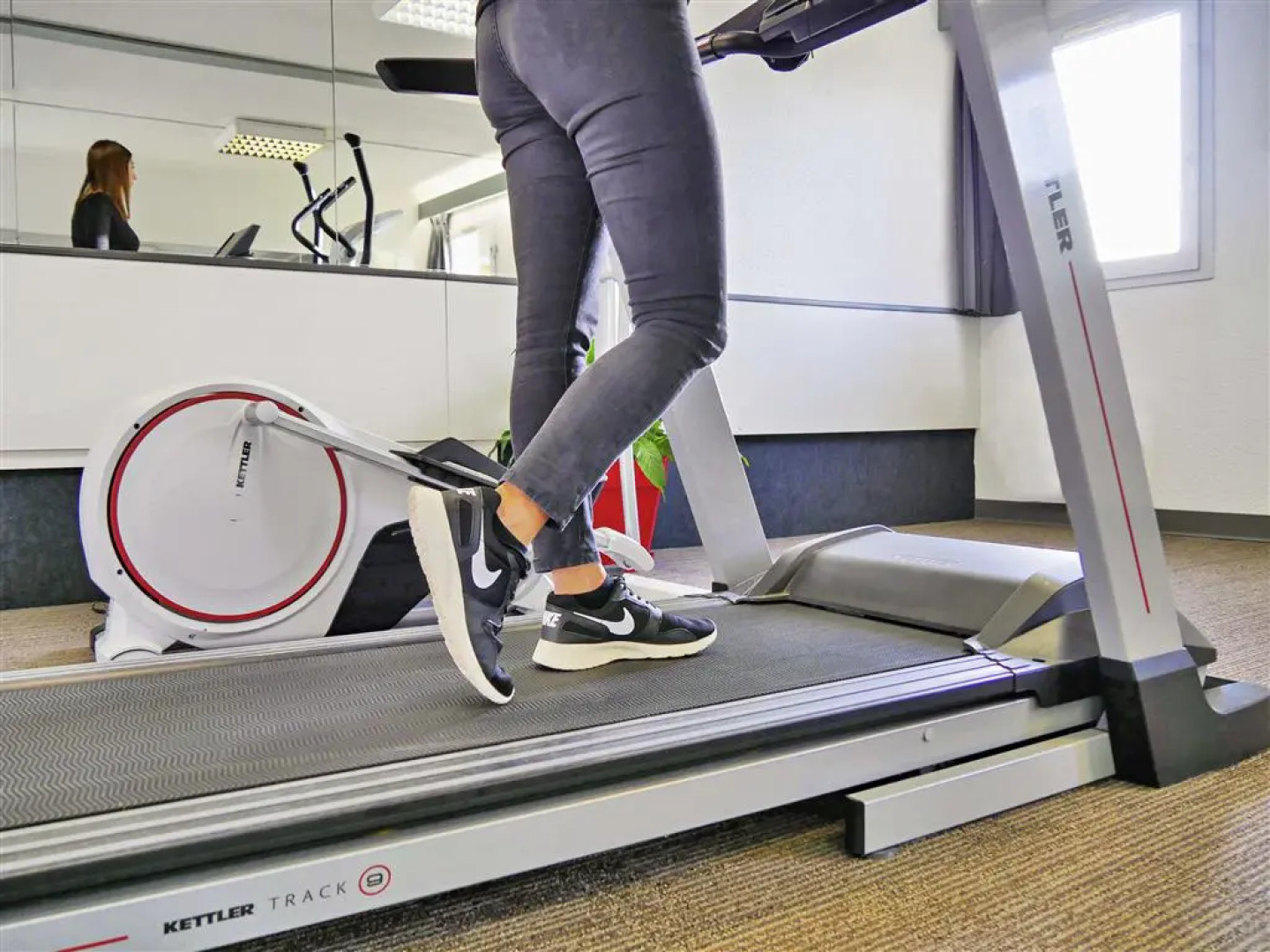 ibis Falaise Coeur de Normandie