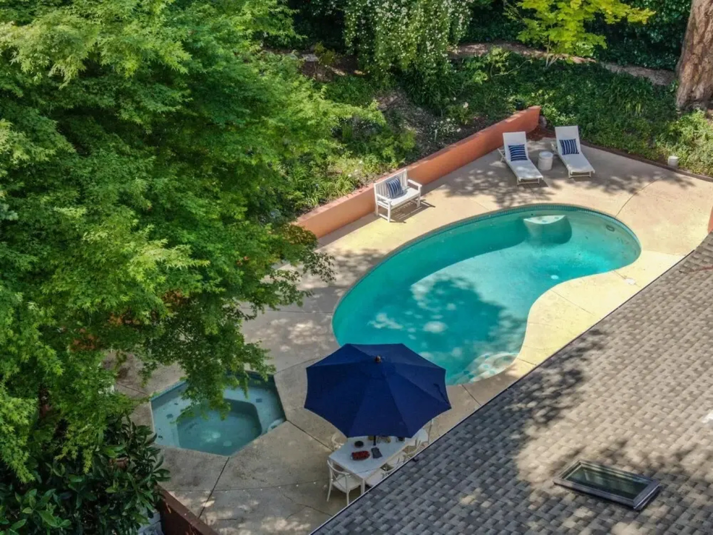 Los Olivos - Le n in Santa Rosa