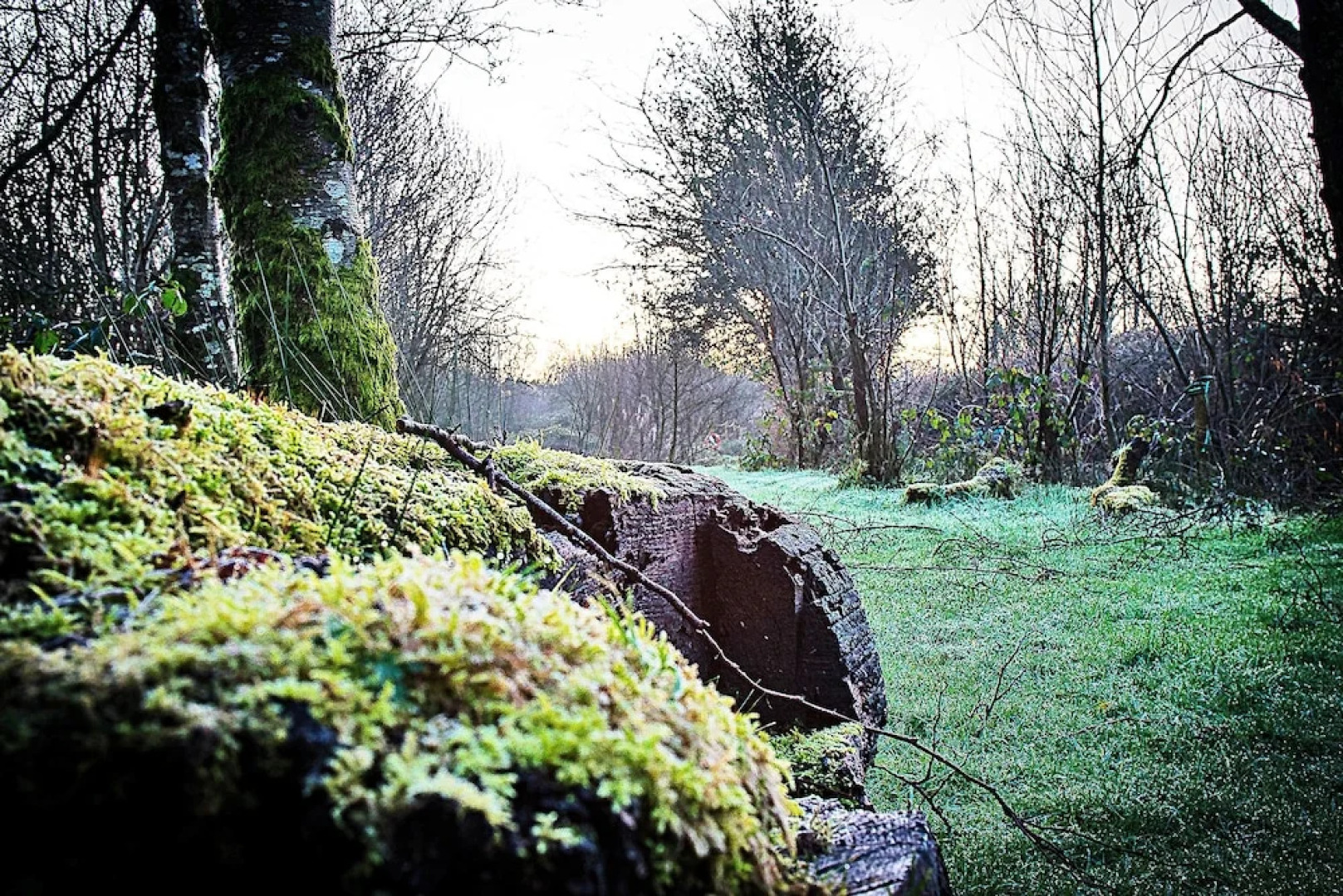 Waunwthan: B&B Suites