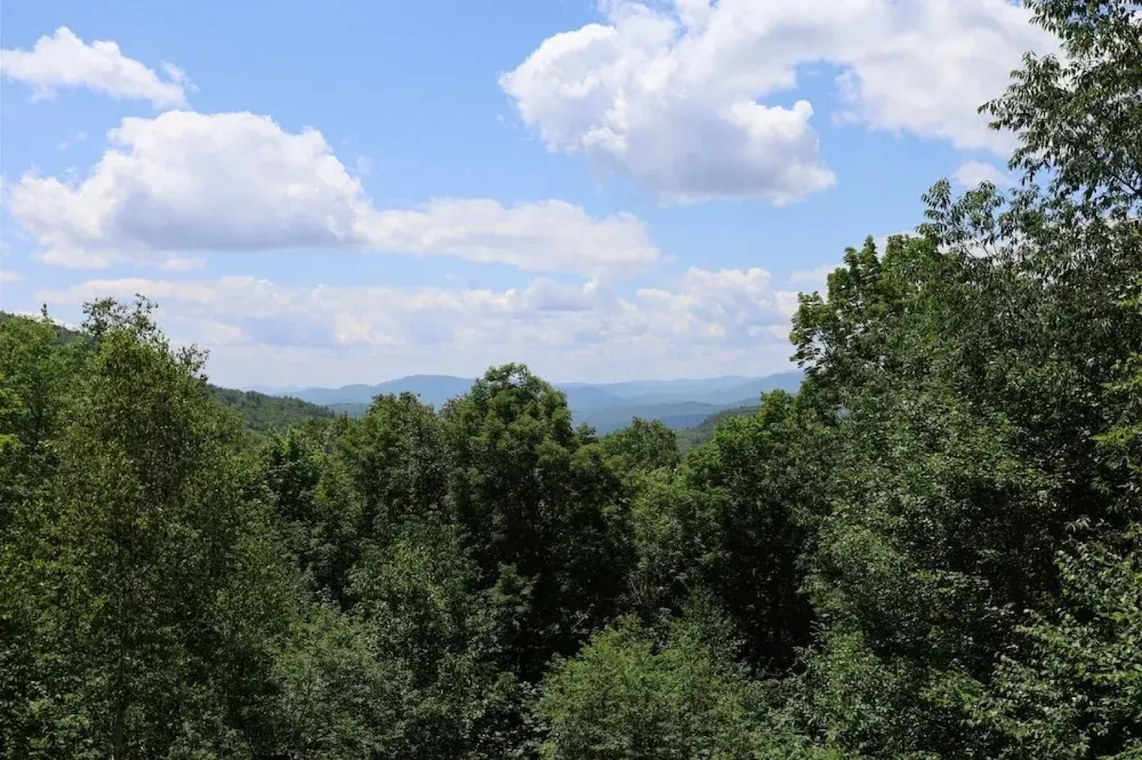 Weetamoo Trail 50, Waterville Estates