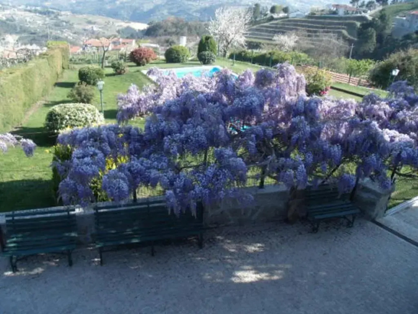 Quinta da Casa Grande Pinheiro