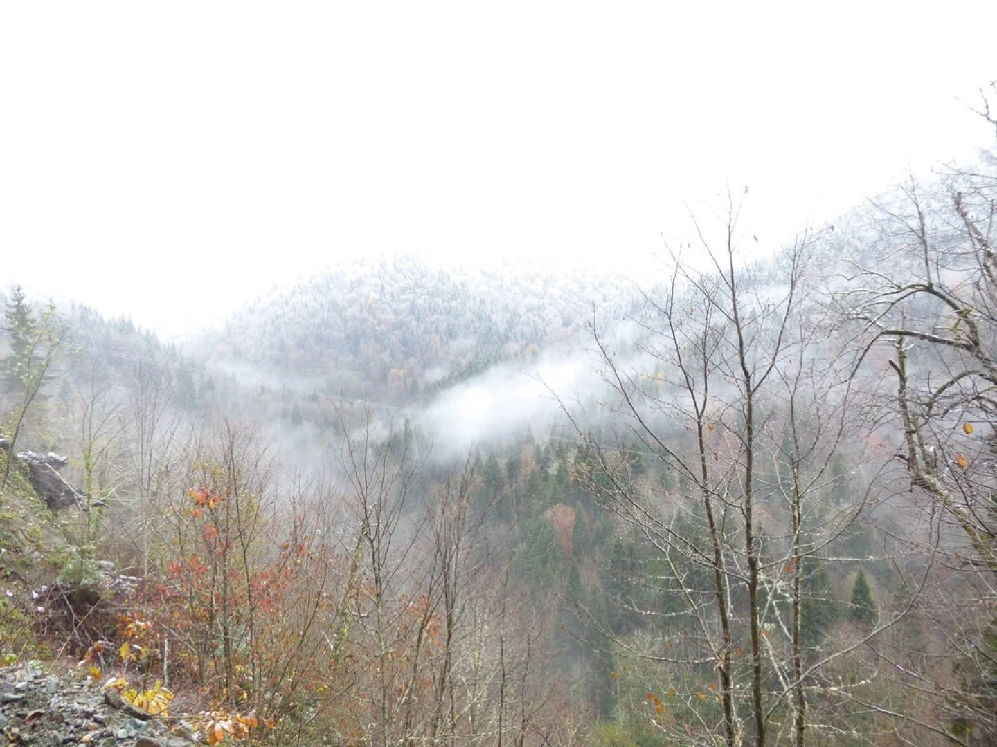 Kutaisi Hotel California