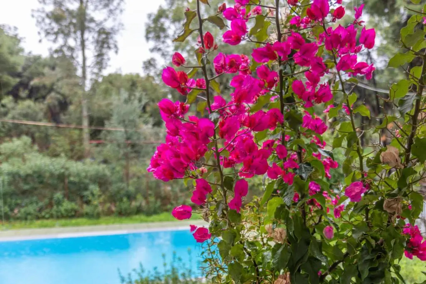 Marvelous, Secluded Villa w/ 3 BR , Pool & Garden, Kavos