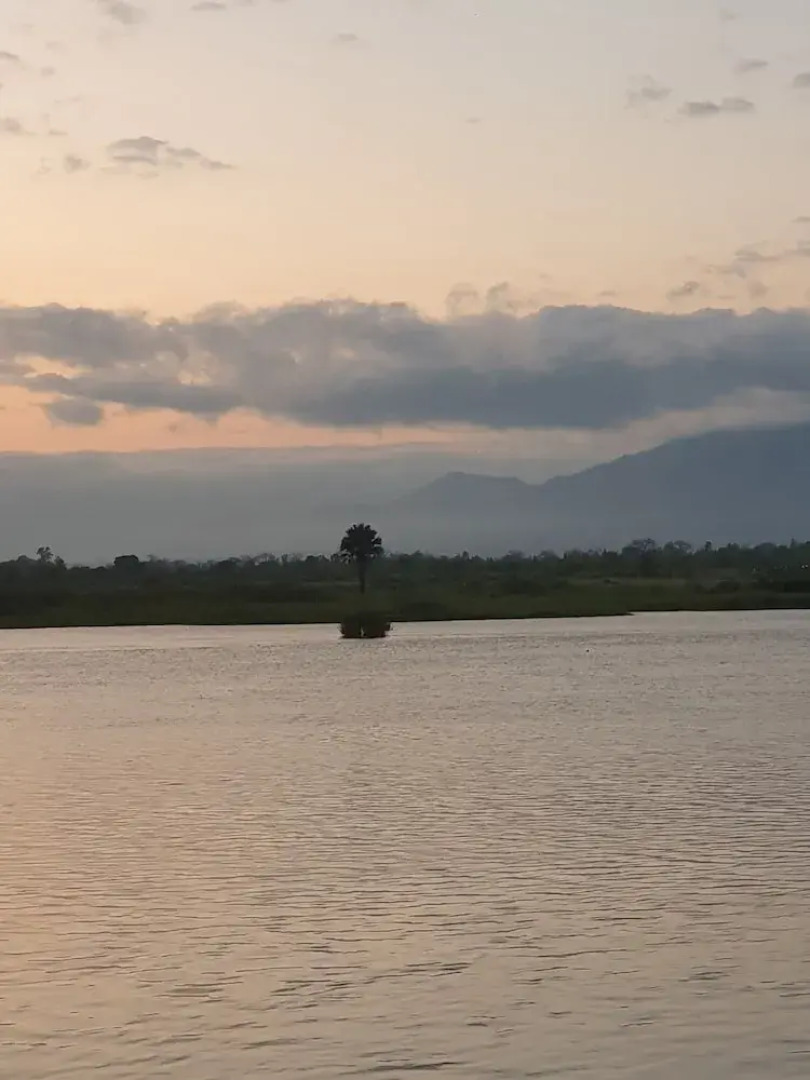 Waters Edge By Serendib