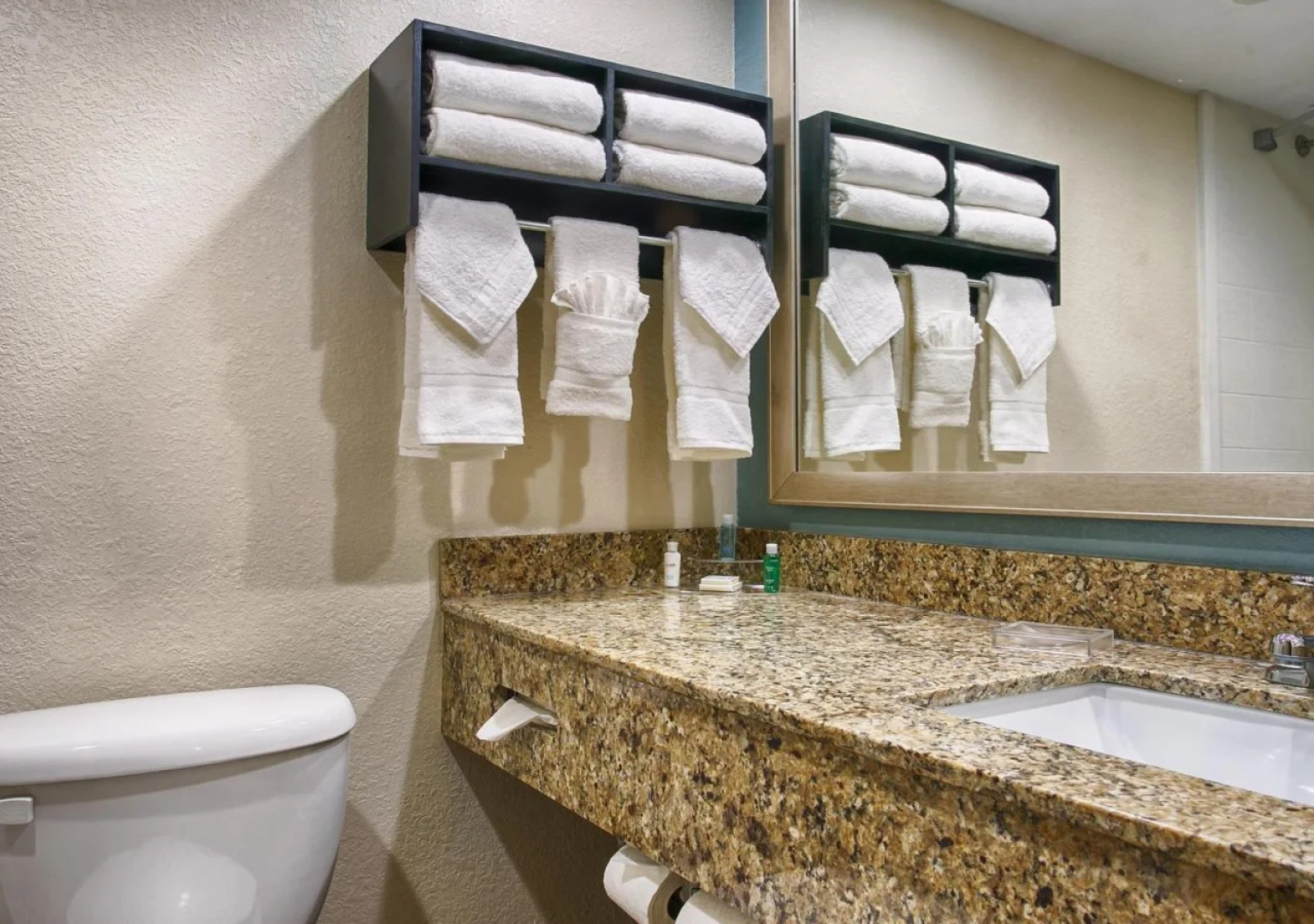 Holiday Inn & Suites Columbia NE - Ft Jackson Area by IHG