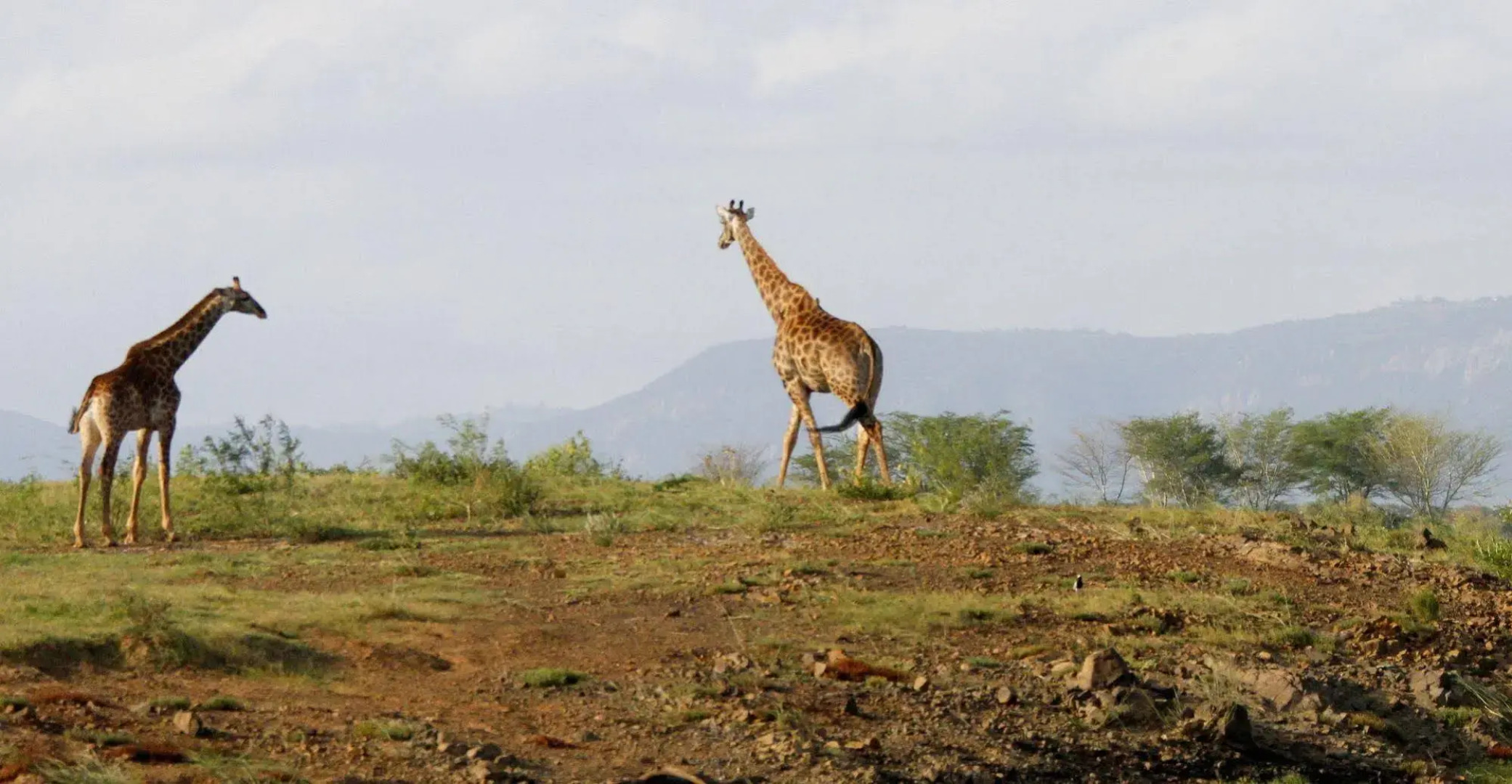 Shayamoya Tiger Fishing and Game Lodge