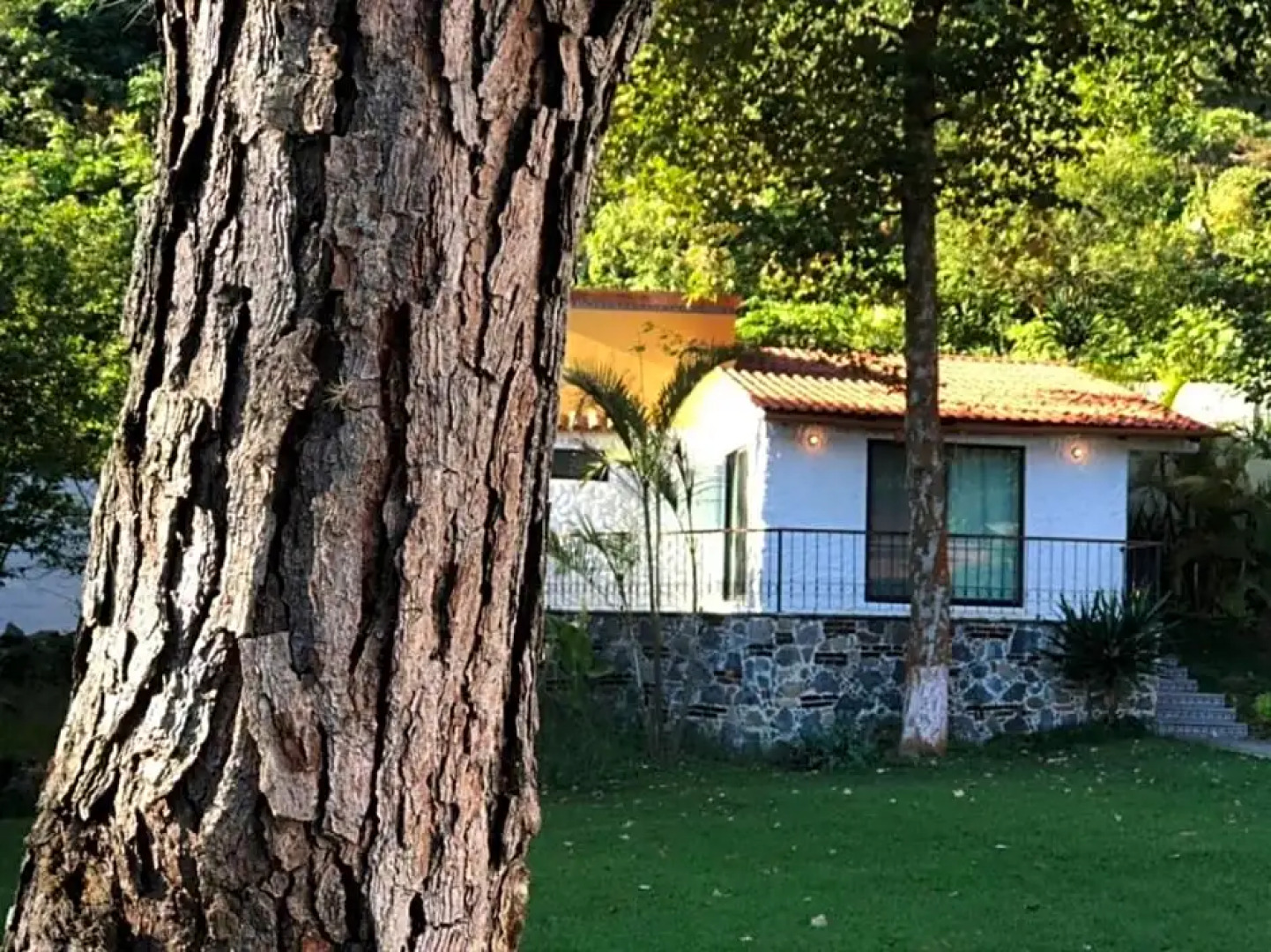 Monte Niebla Hotel Spa