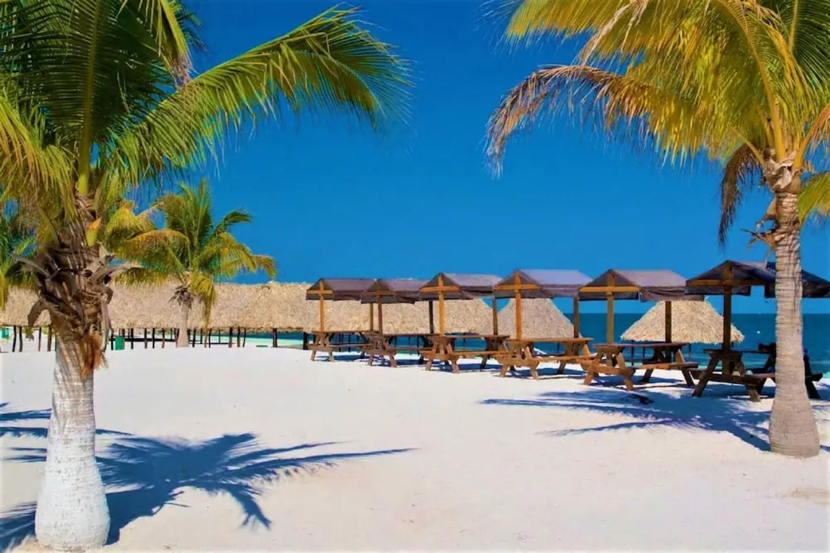 Kaeli's Caribbean Studios