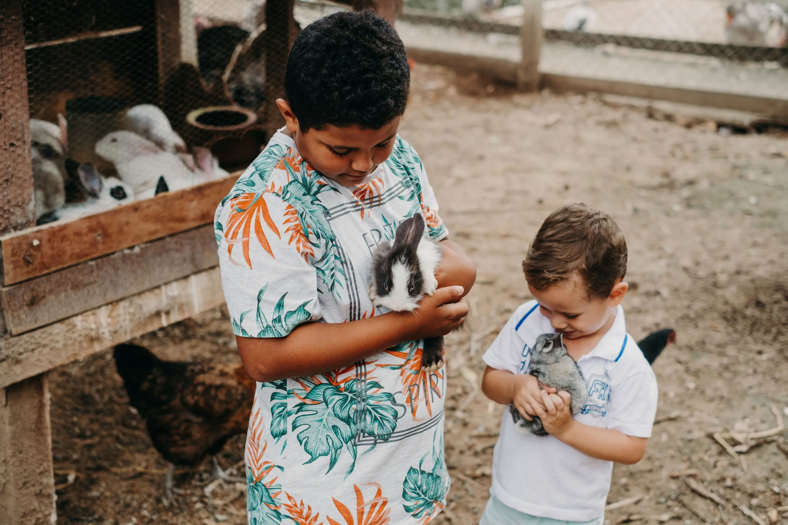 Solar Fazenda Do Cedro