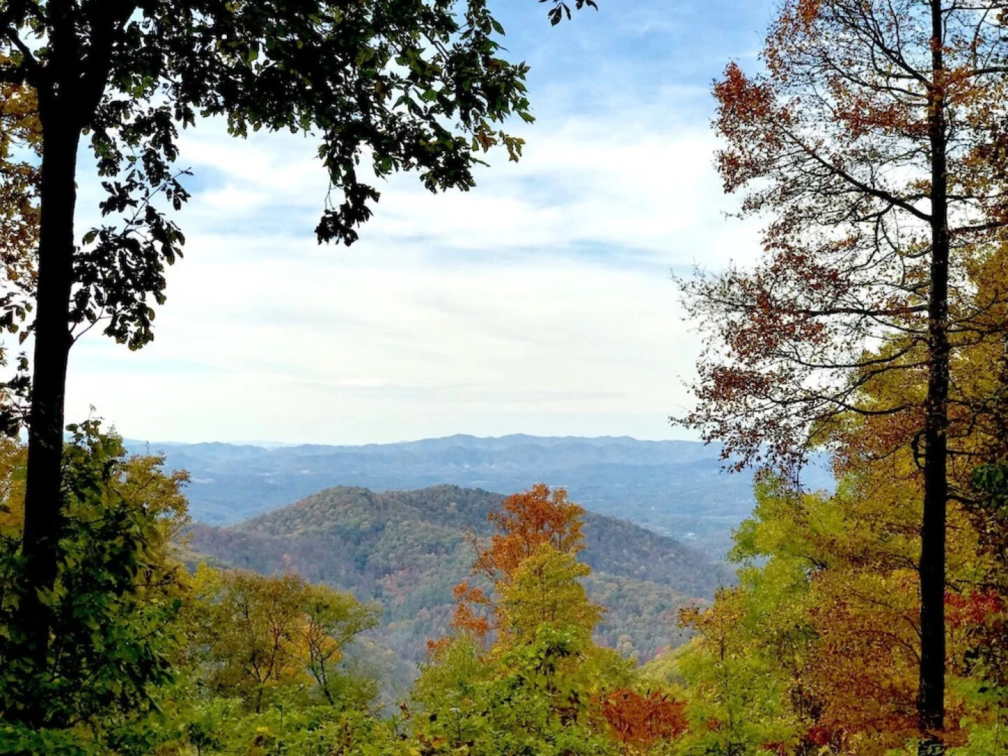 Wild Cat - 1 Br Cabin