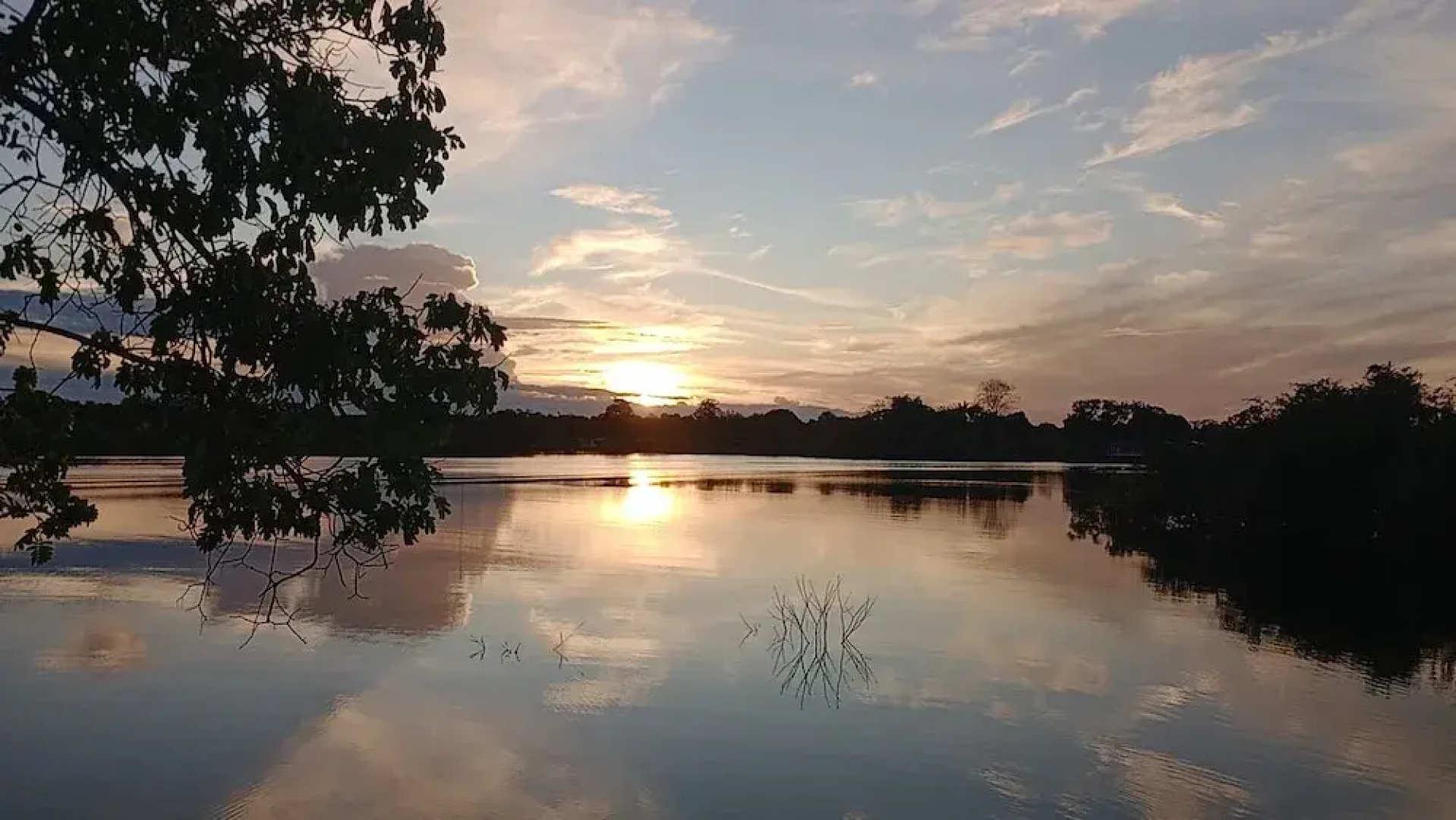 Amazon Private Tours Jungle Lodge