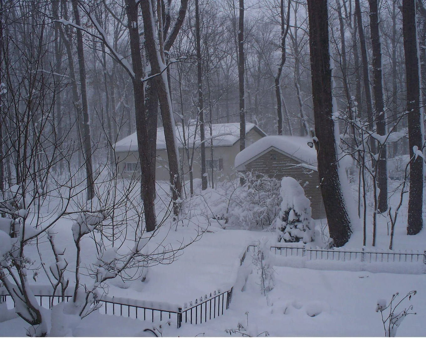 Bear House Bed and Breakfast