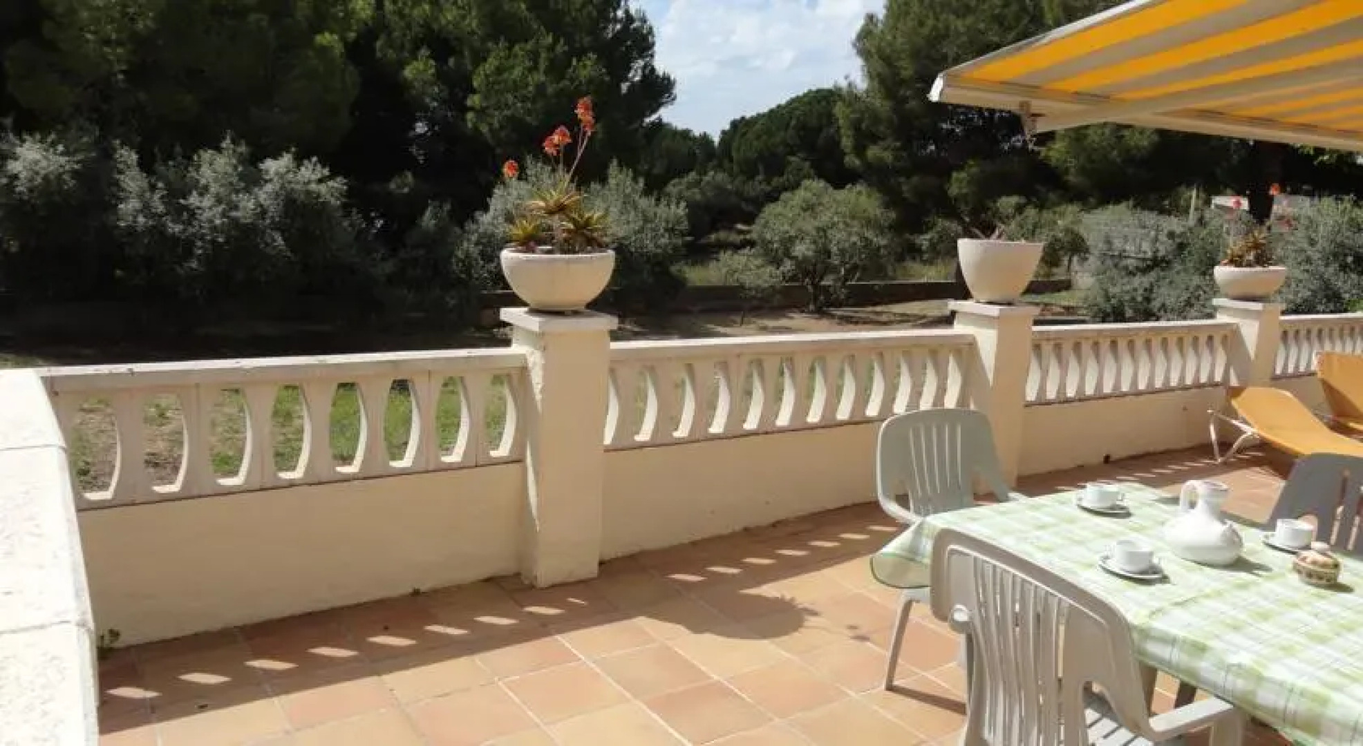 Anforas Mar Sorpresa