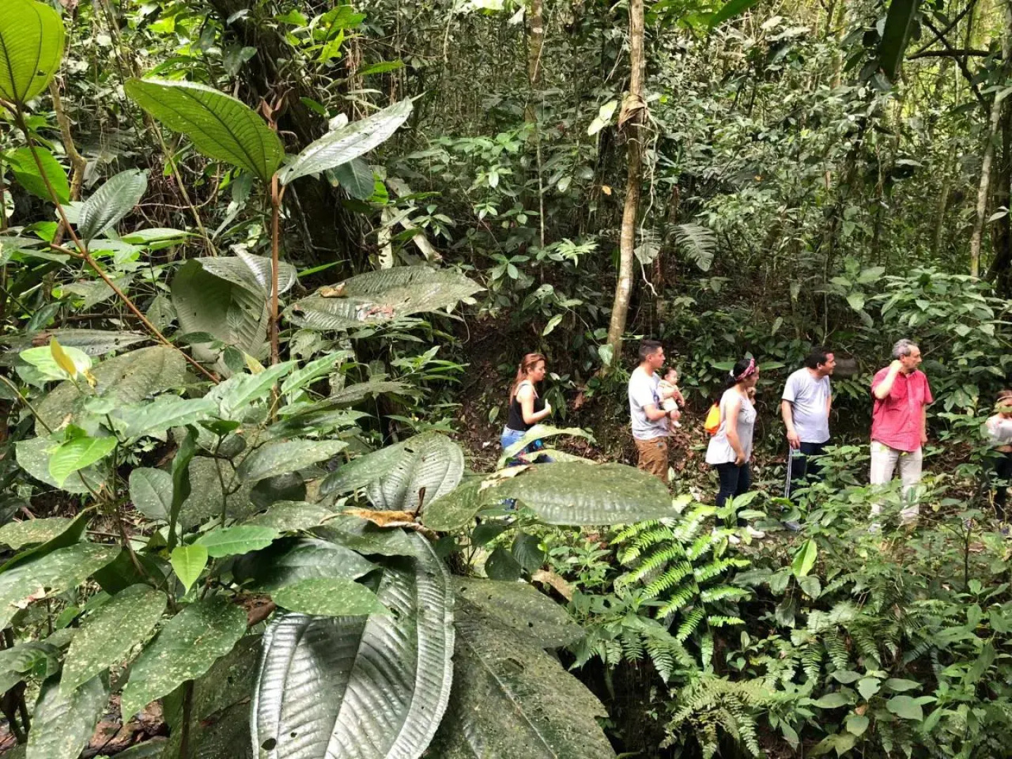 Hotel Boutique Villa María