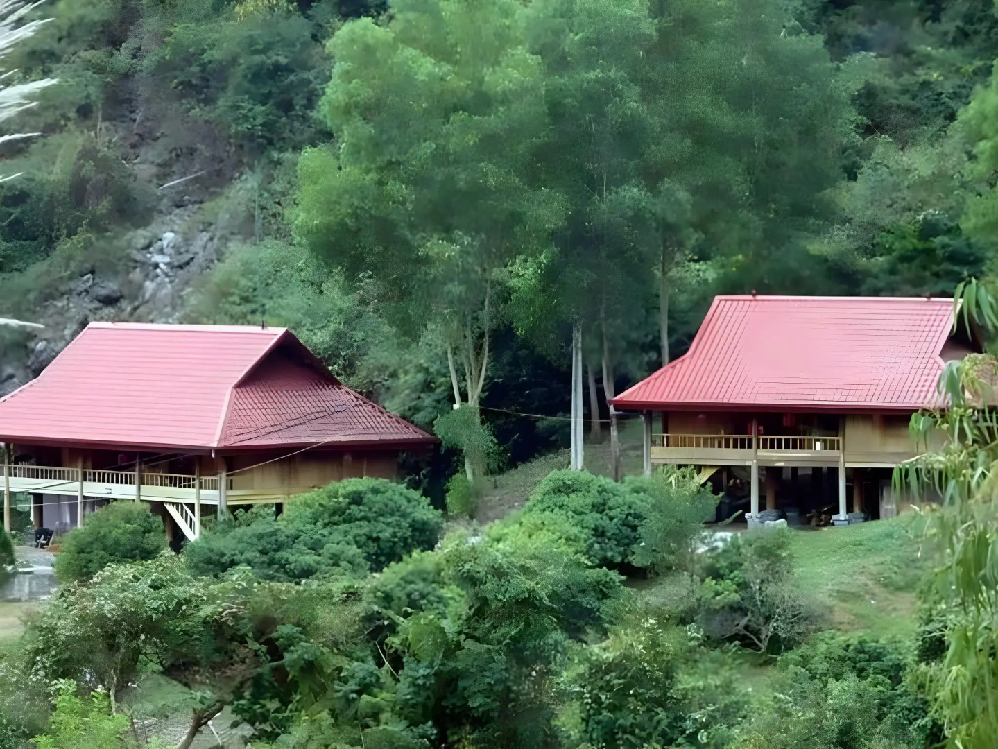 Cat Ba Eco Lodge