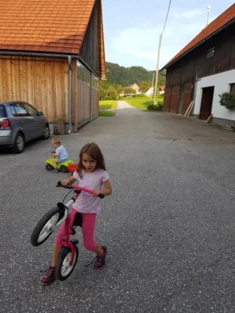 Bauernhof Schoettelbauer