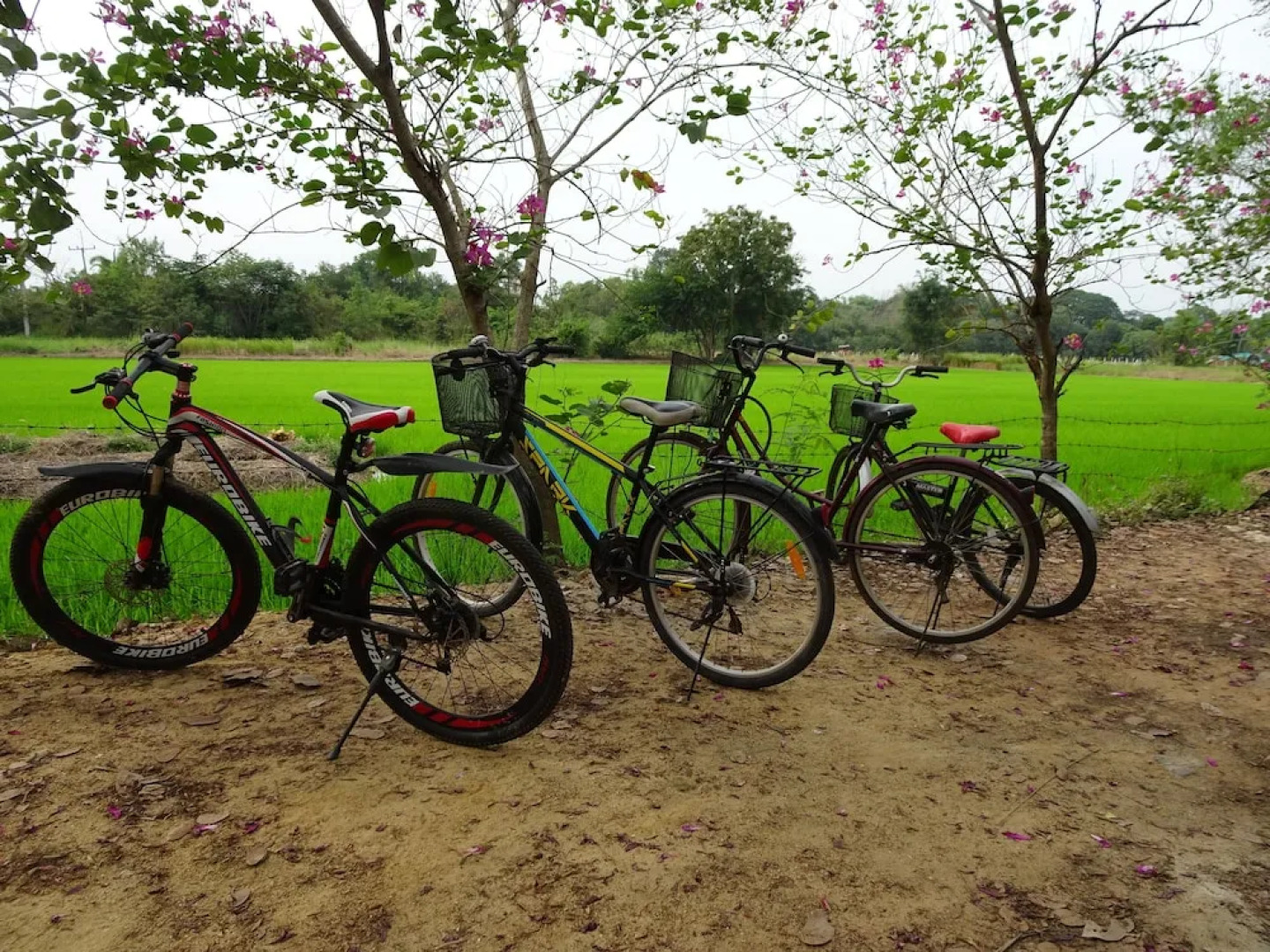 Happy Hamlets Resort