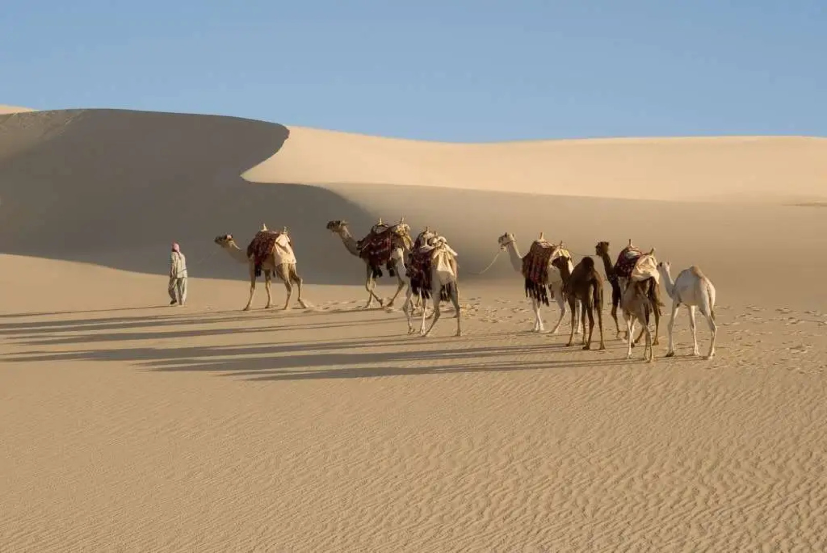 Taziry Ecovillages Siwa