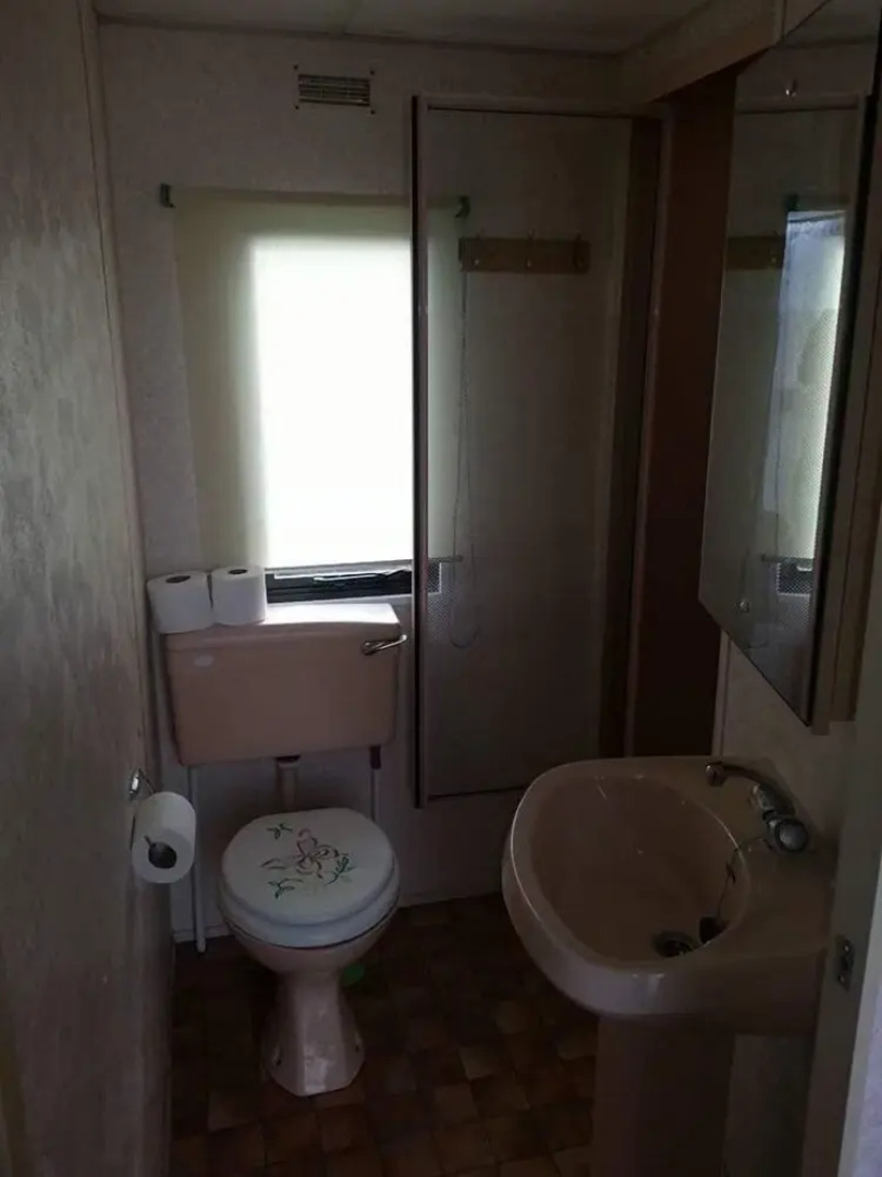 T & J's Caravan - Golden Palm