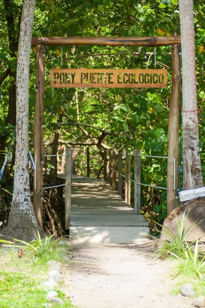 Show Pony Beach Resort and Suites