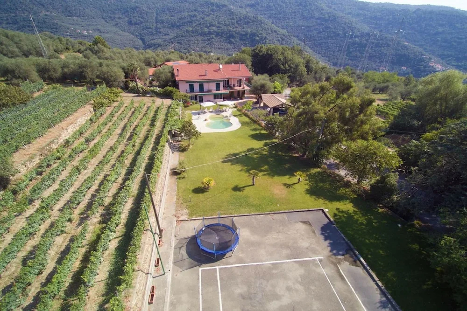 Agriturismo Musso Diano Arentino