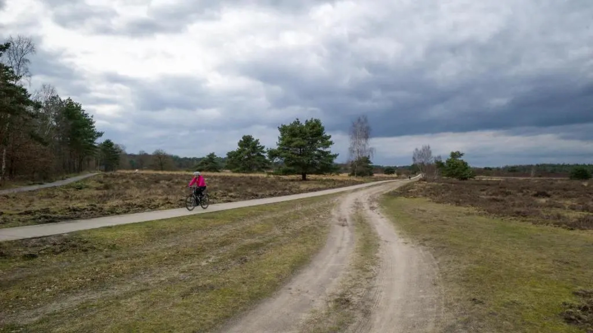 Wonderful place on a quiet spot in the middle of the Netherlands