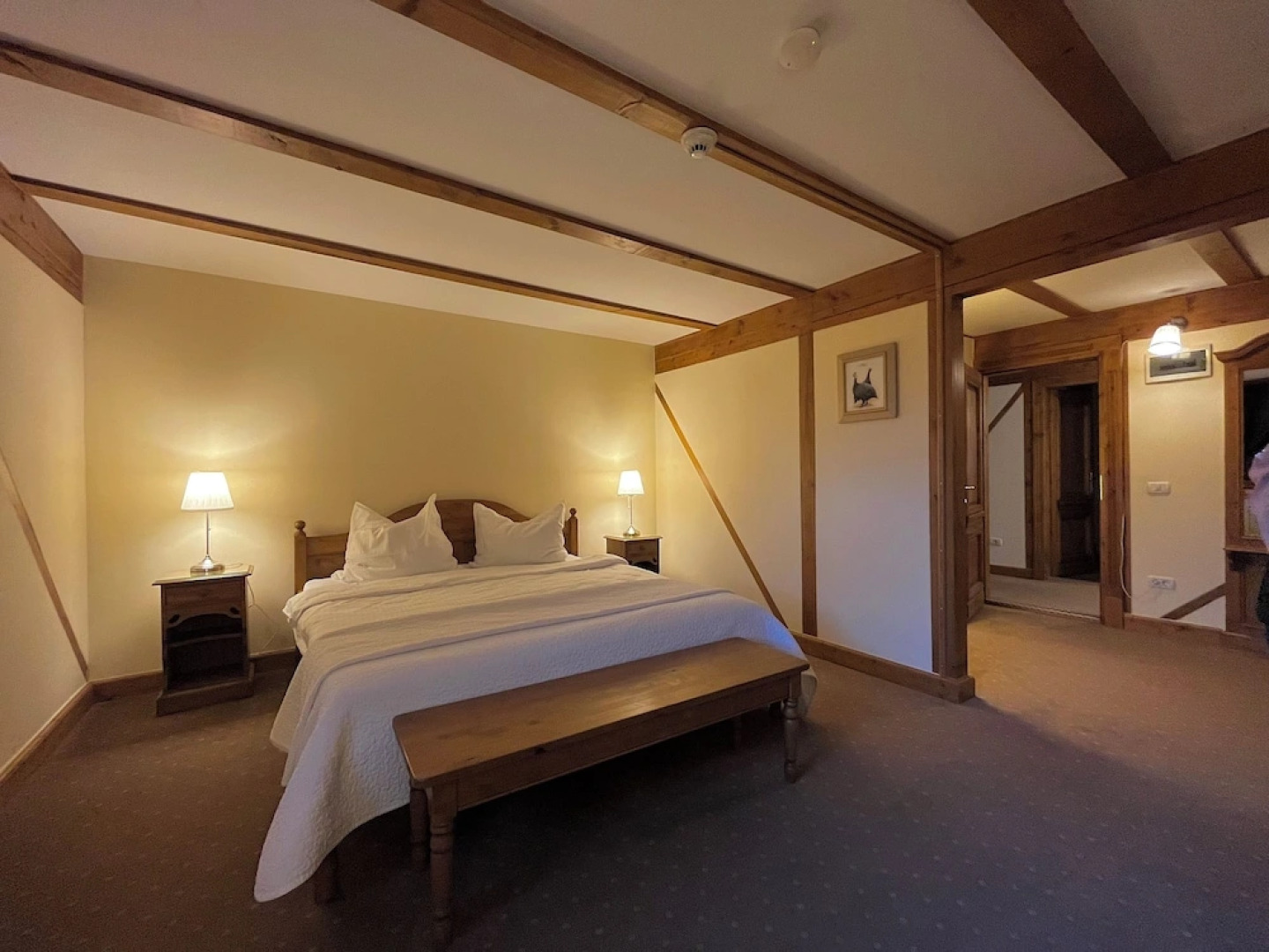 Pensiune restaurant Tohanu Vechi