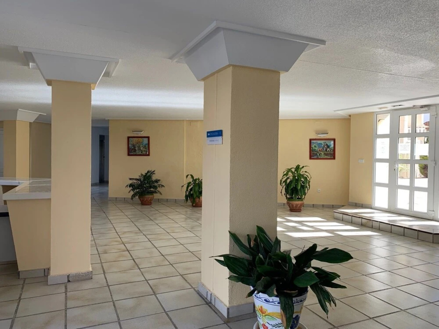 Sunny apartment in Albir el Point