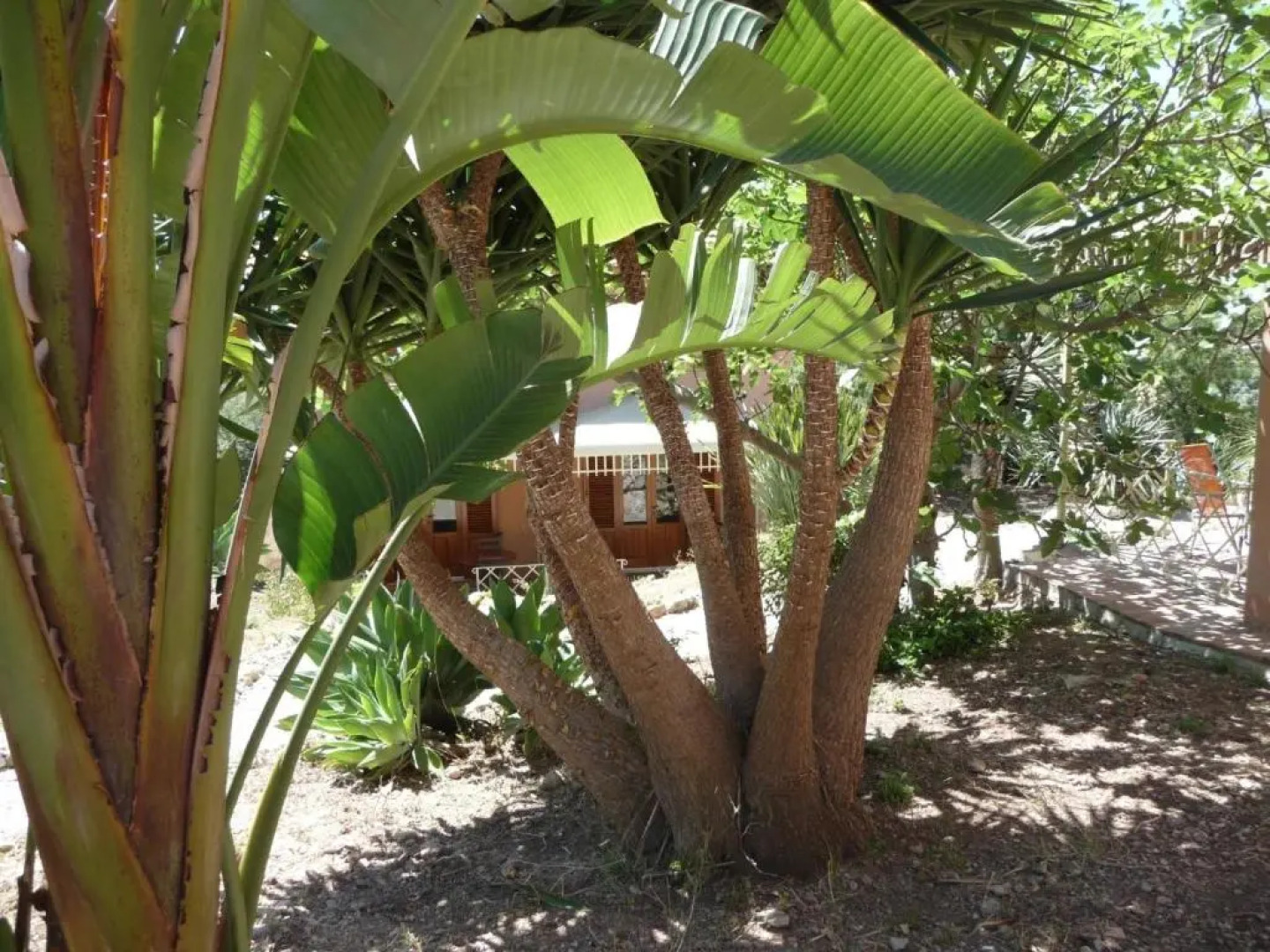 Ferienhaus für 1 Personen 1 Kind ca 60 m in Santa Flavia, Sizilien Nordküste von Sizilien