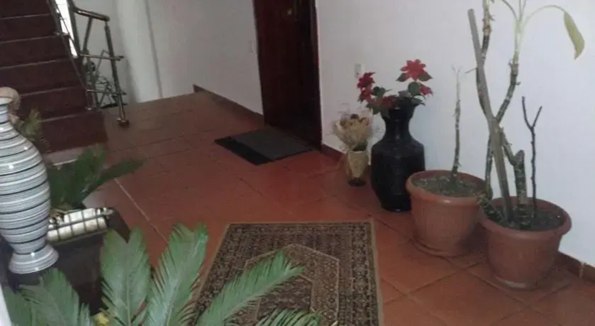 Pensiunea Europa Olanesti