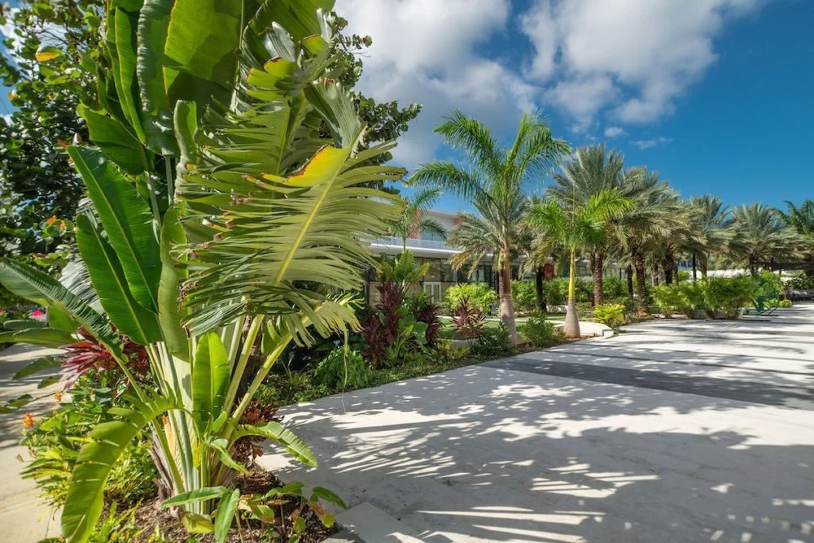 Cayman Luxury Rentals at The Grove