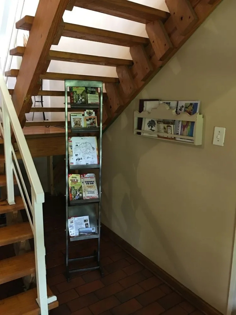 Forest View Guest house