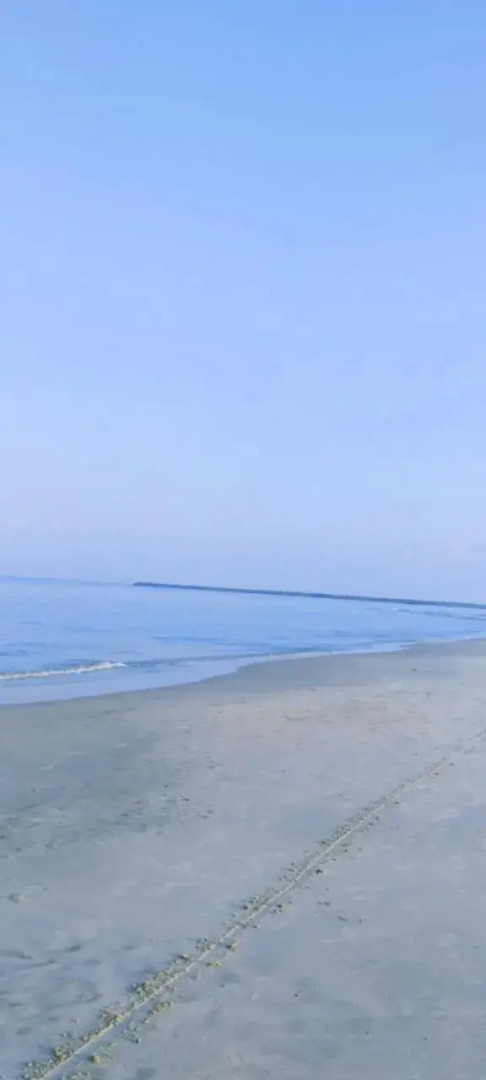 Marari Arthunkal Beach Villa