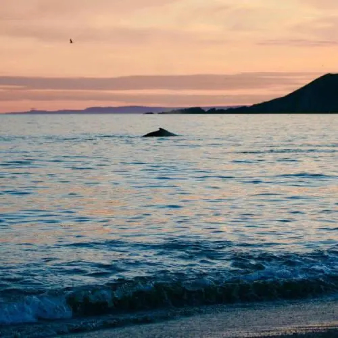 The Convent Guesthouse