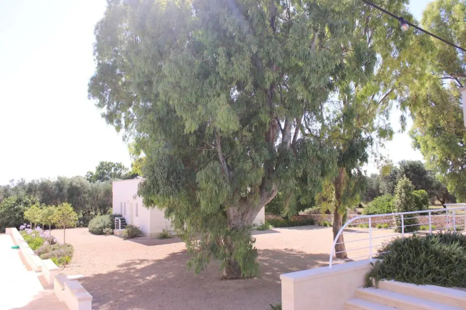 TerreAmare Agriturismo