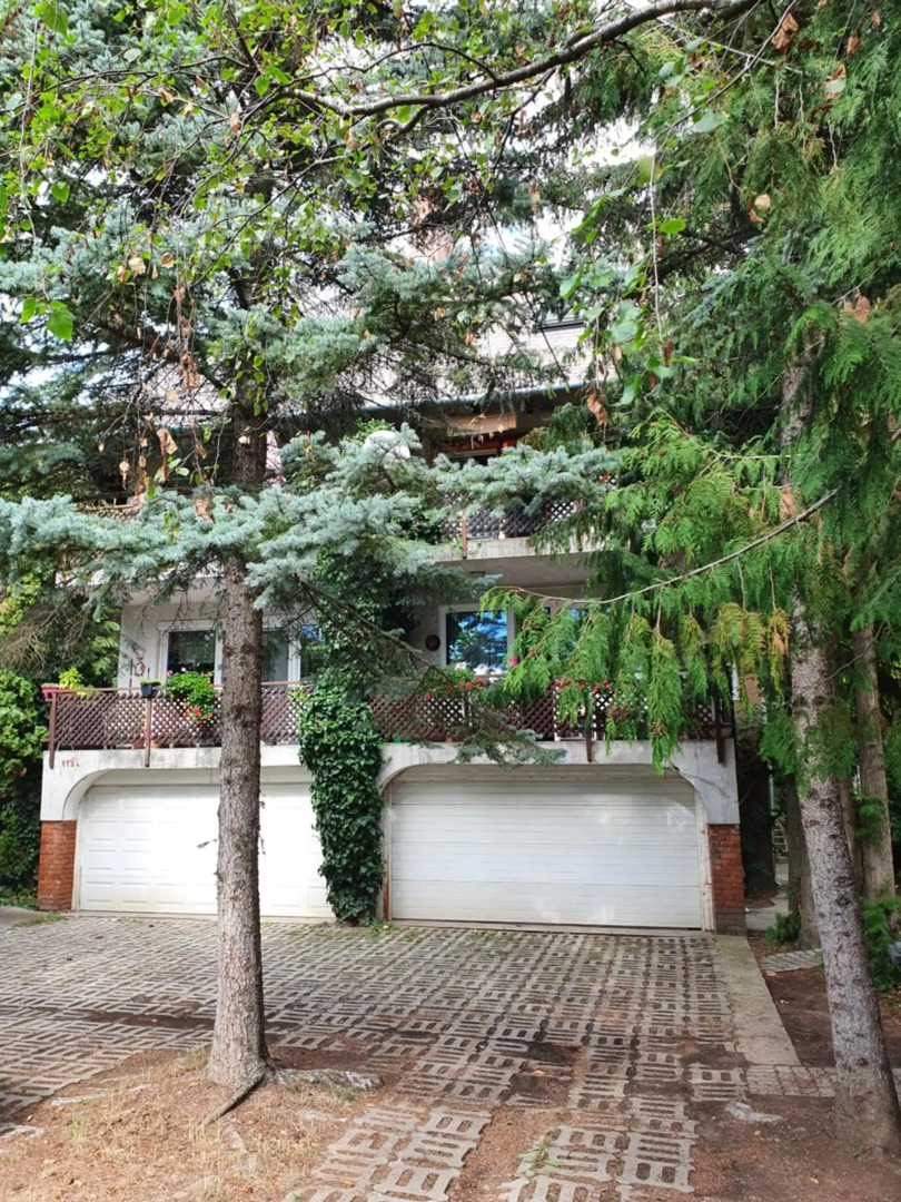 Zöld Relax Apartments