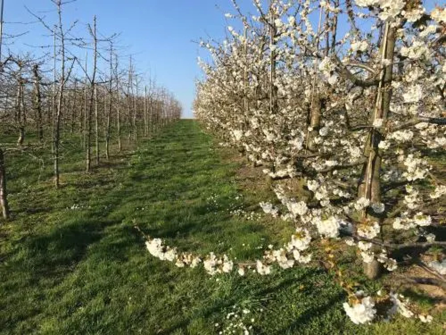 Gastenverblijf Chambre dAmis